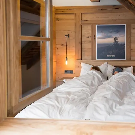 Chalet-ferienwohnung Bergloft, 115 Qm, Wellness/fitness/sauna - Bergroedelhof Apartment *