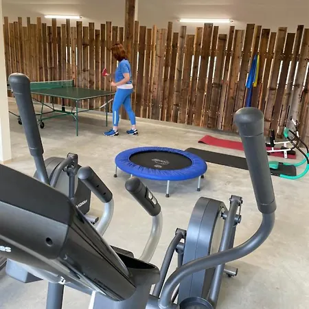 Im Chaletstil Bergloft 115 Qm Wellness Fitness Sauna Bergroedelhof